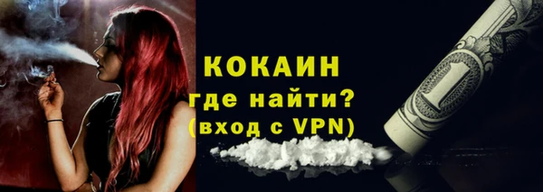 гидра Бородино