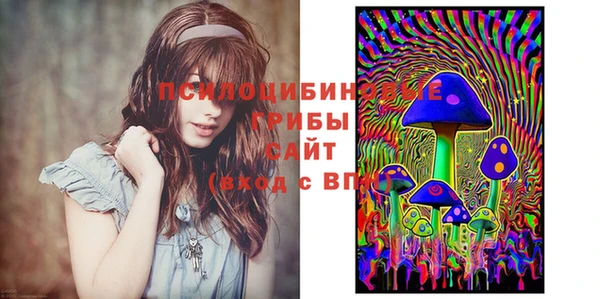 винт Бронницы