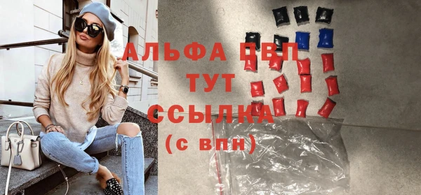 гидра Бородино