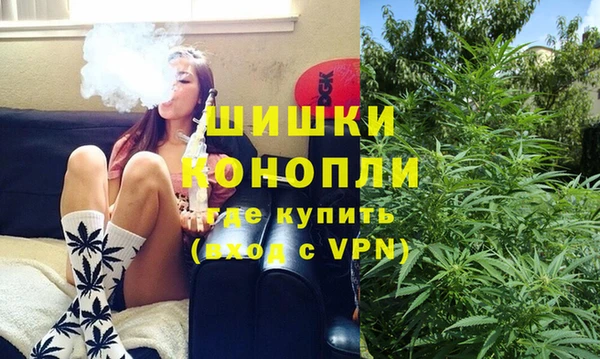 гидра Бородино