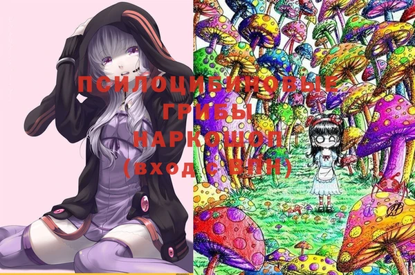 гидра Бородино