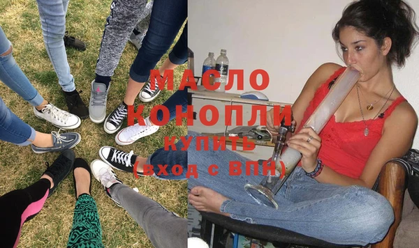 гидра Бородино
