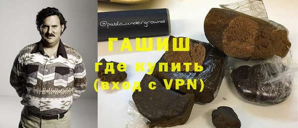 гидра Бородино