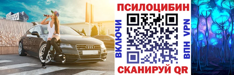 дарнет шоп  Льгов  Галлюциногенные грибы Cubensis 